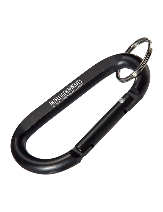 Black Carabiner & Key Ring w/Intelligent Waves Logo